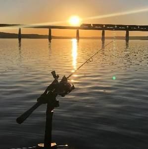 Meet your Posher, Paul